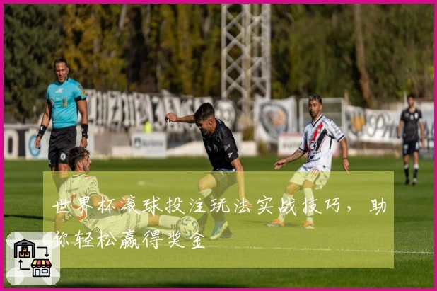 世界杯滚球投注玩法实战技巧，助你轻松赢得奖金