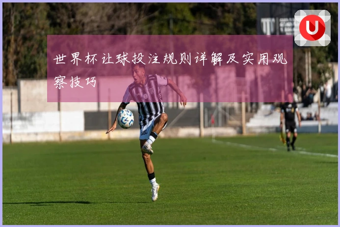 世界杯让球投注规则详解及实用观察技巧