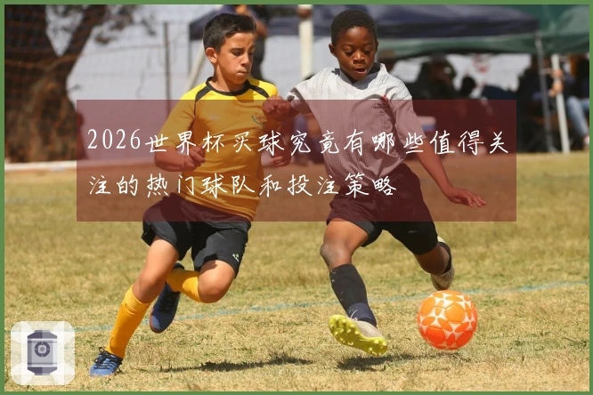 2026世界杯买球究竟有哪些值得关注的热门球队和投注策略