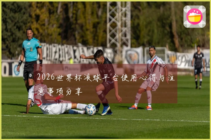 2026世界杯滚球平台使用心得与注意事项分享